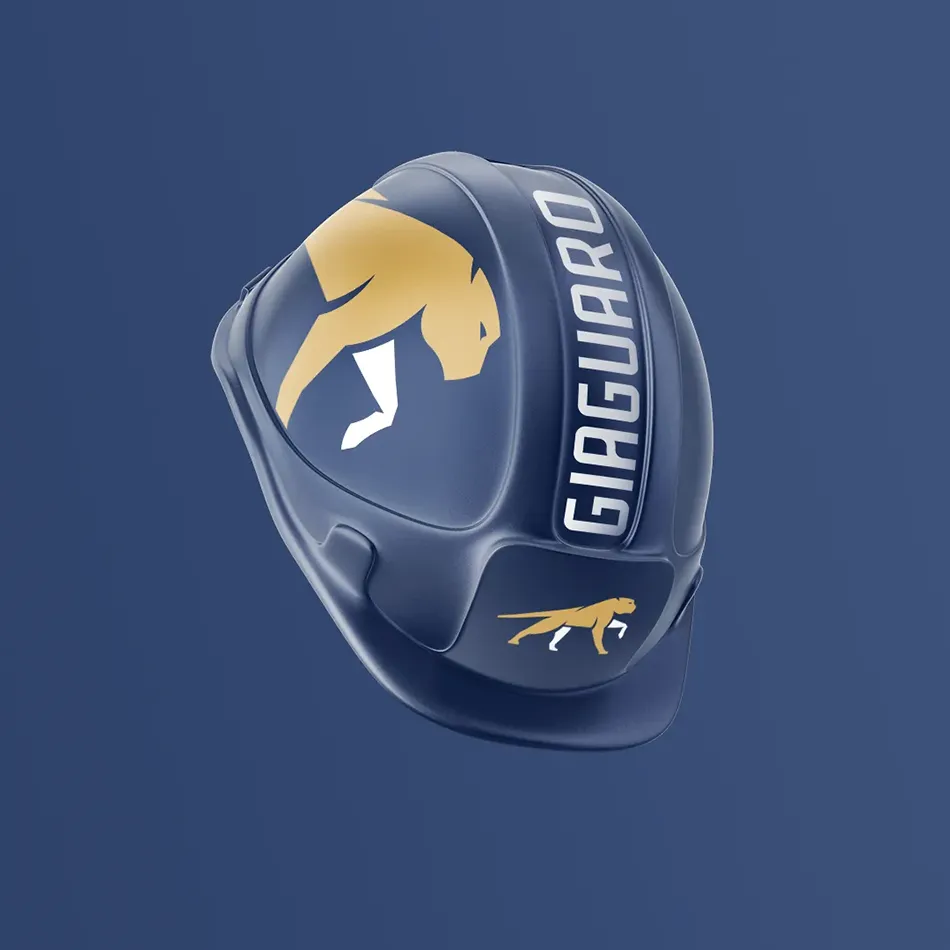 Esempio di strategia digitale per Giaguaro Edilizia: branding e performance marketing: Merchandise, Restyling del Logo, Foto di prodotto